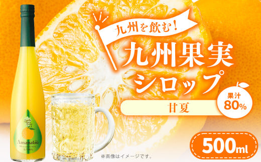 九州を飲む！九州果実シロップ 甘夏