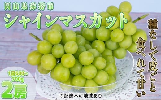 ぶどう 2025年 先行予約 ご家庭用 シャイン マスカット 2房 1房600g～700g 8月下旬～9月中旬発送分 ブドウ 葡萄 フルーツ 果物 岡山 赤磐市産 農マル園芸 あかいわ農園