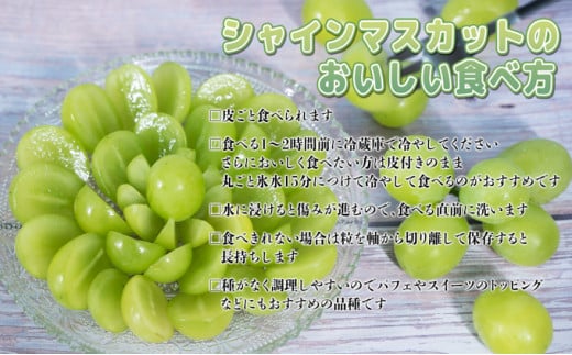 ぶどう 2025年 先行予約 ご家庭用 シャイン マスカット 2房 1房600g～700g 8月下旬～9月中旬発送分 ブドウ 葡萄 フルーツ 果物 岡山 赤磐市産 農マル園芸 あかいわ農園