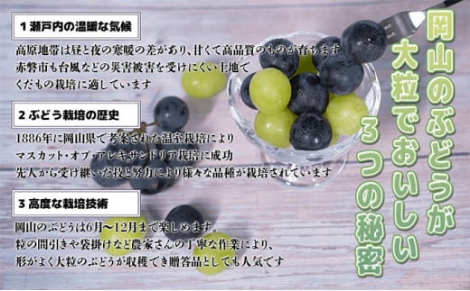 ぶどう 2025年 先行予約 ご家庭用 シャイン マスカット 2房 1房600g～700g 8月下旬～9月中旬発送分 ブドウ 葡萄 フルーツ 果物 岡山 赤磐市産 農マル園芸 あかいわ農園