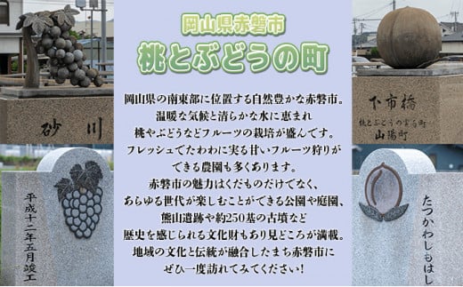 ぶどう 2025年 先行予約 ご家庭用 シャイン マスカット 2房 1房600g～700g 8月下旬～9月中旬発送分 ブドウ 葡萄 フルーツ 果物 岡山 赤磐市産 農マル園芸 あかいわ農園