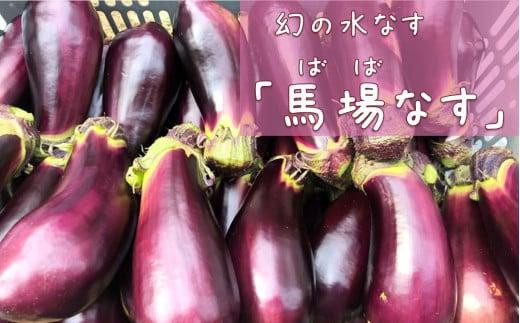 【定期便6回】シェフ御用達！大阪泉州野菜BOX