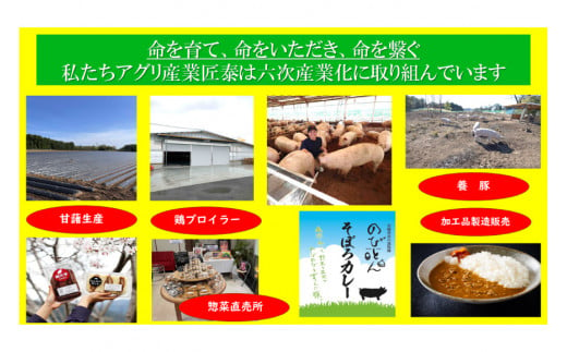 豚肉 切り落とし 宮崎県産 豚 切り落し 500g × 10 計5kg [アグリ産業匠泰 宮崎県 美郷町 31be0035] 肉 冷凍 ぶた肉 ぶた 小分け 個包装 切り落とし