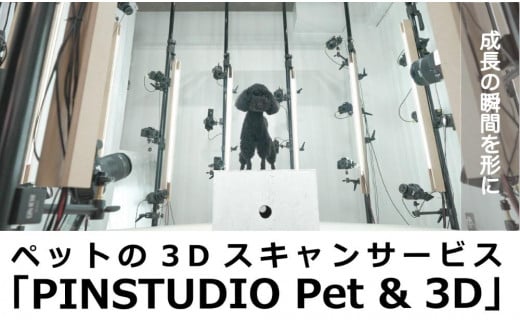 ペットの３Dスキャンと３Dフルカラープリントによる造形（フィギュア）長辺５cm