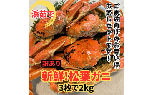 【訳あり】浜茹で！松葉ガニ2kgセット 鳥取網代港 岩美 松葉がに ずわいがに かに【さかなや新鮮組】【22017】