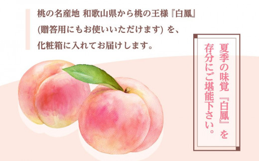 和歌山県産 白鳳11～16玉入り≪ご家庭用≫【2023年6月下旬以降発送】【数量限定】