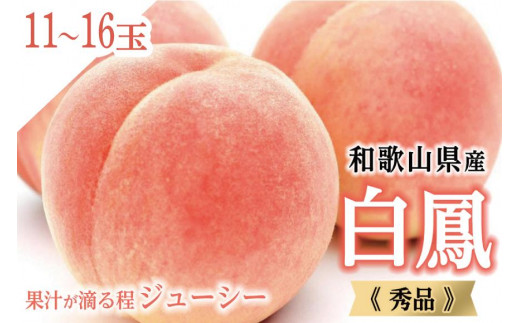 和歌山県産 白鳳11～16玉入り≪ご家庭用≫【2023年6月下旬以降発送】【数量限定】