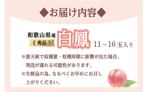 和歌山県産 白鳳11～16玉入り≪ご家庭用≫【2023年6月下旬以降発送】【数量限定】