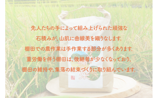 石垣棚田で作る『貝の川の棚田米 』 5kg [貝ノ川棚田保存会 高知県 津野町 26as0001] 白米 お米 おこめ こめ コメ