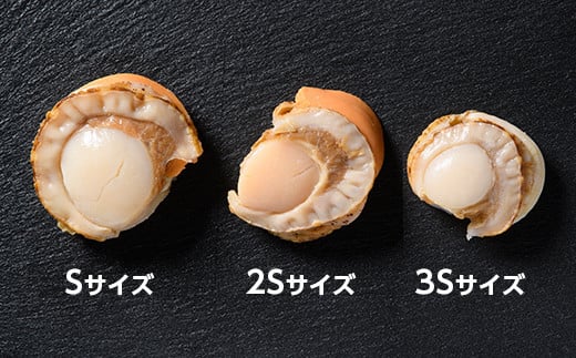  【ほたて緊急支援品】【訳あり】北海道噴火湾産ボイルほたて 1.6kg（800g×2）サイズ不選別 ＜カネキチ澤田水産＞ 森町 ほたて 帆立 ホタテ 海産物 魚貝類 ふるさと納税 北海道 mr1-0598