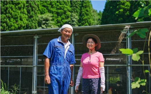 本間農園の無添加プリン2種 10個セット 【スイーツ 平飼い 無添加 有精卵 ミルン牧場 牛乳 プリン県 プリンマップ】(H073113)