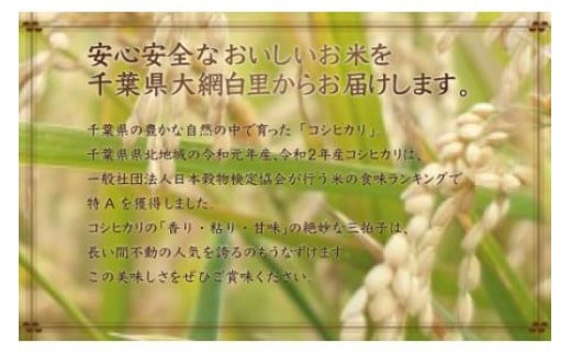 【新米】令和6年産 2年連続特A評価!千葉県産コシヒカリ20kg（5kg×4袋） お米 20kg 千葉県産 大網白里市 コシヒカリ 米 精米 こめ 送料無料