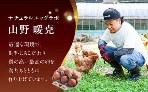 平戸 平飼い放牧卵 itadaki バスクチーズケーキ 長崎県/ナチュラルエッグラボ [42AFAA001] チーズケーキ バスク ホール 冷凍 卵 小麦粉不使用