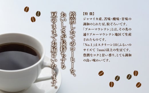 C03 コーヒーギフト （ブルーマウンテン）400g豆・箱入り | 珈琲 コーヒー ブルー マウンテン 豆 まめ ブレンド ぶれんど ギフト ぎふと 贈り物 奈良県 御杖村 