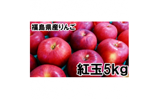 福島県のりんご　紅玉5kg(20～28玉)　ギフト・贈答用　アップルパイやジャムにもオススメ【1293243】