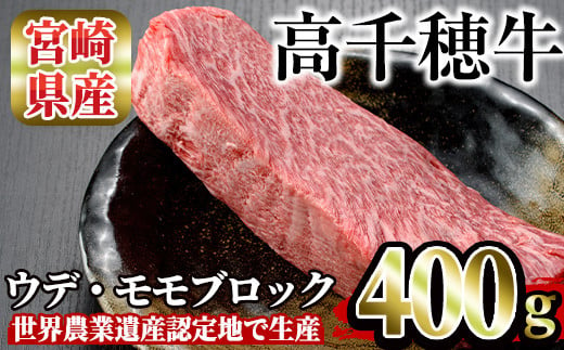 高千穂牛 ウデ・モモブロック(400g) 国産 宮崎県産 宮崎牛 牛肉 煮込み料理 肉厚 焼肉 霜降り A4 和牛 ブランド牛 【MT007】【JAみやざき 高千穂牛ミートセンター】