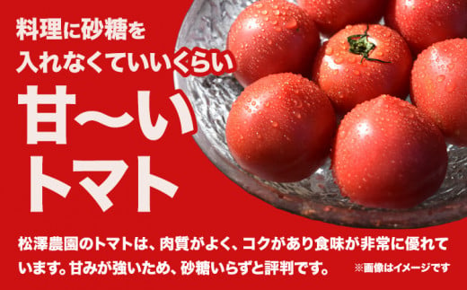 【2025年先行受付】 トマト 大玉トマト 新鮮 4kg (18-24玉) 松澤農園《2025年7月上旬-10月下旬頃出荷》 岩手県 九戸村 野菜 岩手県産 国産 お取り寄せ 送料無料 大きい リコピン 美容 甘い 健康