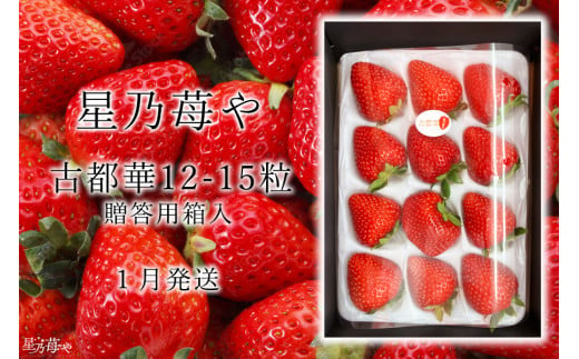 先行予約 奈良県のいちご古都華1パック 2025年1月発送 オリジナル贈答用箱入り // /苺 いちご イチゴ 古都華 奈良 奈良県 広陵町 生産者直送 直送 厳選 数量限定 旬 フルーツ 甘い 完熟 果物