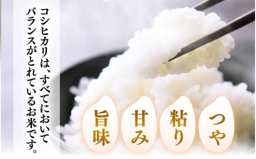 先行予約】【令和7年産】定期便 ≪3ヶ月連続お届け≫ 化学肥料不