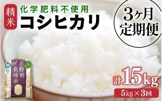 国内産精米15kg(5kg×3袋) お米 国内産 5kg×3袋 15kg