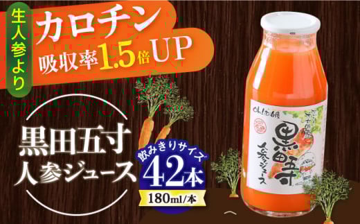 にんじん太郎さん専用 五寸にんじん(お徳用ﾊﾟｯｸ) | ニチノウのタネ オンラインショップ