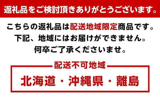 自家製焼豚ギフトセット