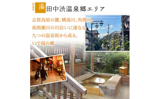 山ノ内町内宿泊補助券（2枚）1年間有効 10,000円分 旅行 宿泊券 ホテル 旅館 チケット 宿泊 補助券 志賀高原 湯田中渋温泉郷 北志賀高原 地獄谷野猿公苑  温泉 ギフト 自然 観光 長野県 信州 冬 スキー