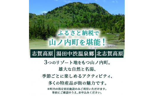 山ノ内町内宿泊補助券（2枚）1年間有効 10,000円分 旅行 宿泊券 ホテル 旅館 チケット 宿泊 補助券 志賀高原 湯田中渋温泉郷 北志賀高原 地獄谷野猿公苑  温泉 ギフト 自然 観光 長野県 信州 冬 スキー