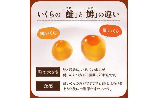 【2024年11月発送】知床羅臼産 時鮭（ときしらず）の親子漬け・醤油いくらセット（計500g）イクラ しょうゆ漬け 秋サケ さけ 海鮮 魚介 北海道 詰め合わせ 生産者 支援 応援