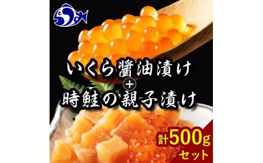 【2024年11月発送】知床羅臼産 時鮭（ときしらず）の親子漬け・醤油いくらセット（計500g）イクラ しょうゆ漬け 秋サケ さけ 海鮮 魚介 北海道 詰め合わせ 生産者 支援 応援