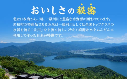 【10月以降価格改定予定】3か月連続　農賊王のお宝分け 白米10kg［高島屋選定品］[№5580-0255]