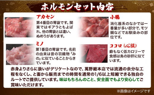 萬野総本店 ホルモン 国産牛 ホルモン 詰め合わせ 約600g《30日以内に出荷予定(土日祝除く)》大阪府 羽曳野市 牛肉 国産牛 小腸 アカセン アカセンマイ ミノ ココロ 心臓 焼肉 詰め合わせ セット【配送不可地域あり】