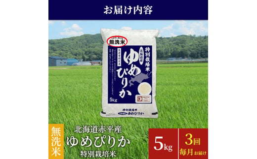 無洗米 北海道赤平産 ゆめぴりか 5kg 特別栽培米 【3回お届け】 米 北海道 定期便