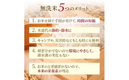 無洗米 北海道赤平産 ゆめぴりか 5kg 特別栽培米 【3回お届け】 米 北海道 定期便