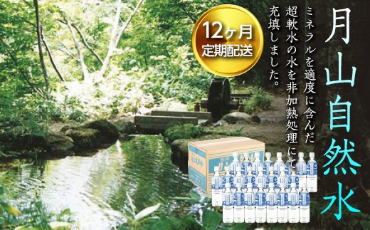 FYN9-014 【定期便】月山自然水500ml×24本×12ヶ月コース 天然水 国産 備蓄 防災 保存 ペットボトル ナチュラル 山形県 西川町 