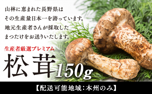 数量限定 松茸 生産者厳選 プレミアムまつたけ 150g 2本程度 箕輪町産 秋の味覚 まつたけ マツタケ きのこ キノコ 旬の野菜 プレミアム 限定品 限定販売 信州 長野 長野県 [№5675-1155]