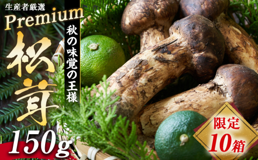 数量限定 松茸 生産者厳選 プレミアムまつたけ 150g 2本程度 箕輪町産 秋の味覚 まつたけ マツタケ きのこ キノコ 旬の野菜 プレミアム 限定品 限定販売 信州 長野 長野県 [№5675-1155]