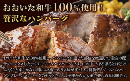 おおいた和牛100% デミ＆プレーンハンバーグ 12個 合計約1.2kg 牛肉 豊後牛 ハンバーグ おかず お弁当 小分け レンジ 時短料理 惣菜 冷凍 大分県産 九州産 津久見市 国産