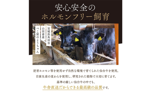 仙台牛×グレインフェッドビーフ 手ごねハンバーグ 150g×10個セット 冷凍発送 牛肉 仙台牛 [№5704-0860]