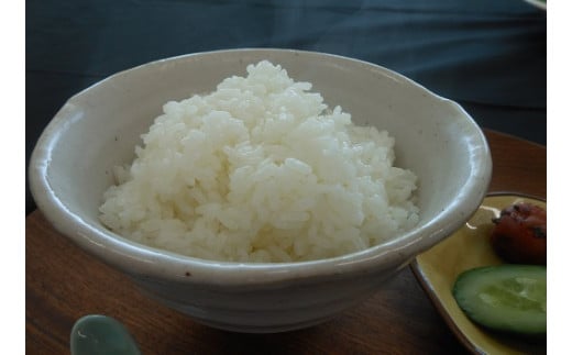 令和6年産 新米 あしずり黒潮米15kg（5kg×3袋）【コシヒカリ】精米 新米 白米 こめ コメ おコメ こしひかり ブランド米 15キロ 国産 送料無料 高知県 にがり【R01307】