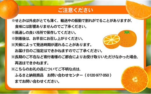 愛媛県産せとか（ハウス）[50R0846] 【高島屋選定品】 [№5310-0042]