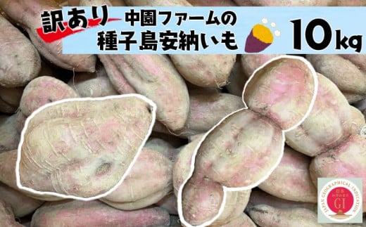 ふるさと納税 【 先行予約 】種子島 かわもと農園 パッション