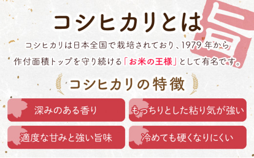 【5ヶ月定期便】福島コシヒカリ 計50kg 【10kg×5袋 ご飯 ごはん 米 こめ お米 弁当 白米 国産米 銘柄米 ブランド米 おにぎり 国産 全5回 お届け】【07521-0082】