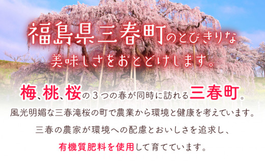 【5ヶ月定期便】福島コシヒカリ 計50kg 【10kg×5袋 ご飯 ごはん 米 こめ お米 弁当 白米 国産米 銘柄米 ブランド米 おにぎり 国産 全5回 お届け】【07521-0082】