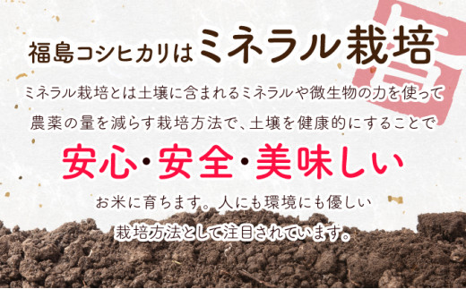 【5ヶ月定期便】福島コシヒカリ 計50kg 【10kg×5袋 ご飯 ごはん 米 こめ お米 弁当 白米 国産米 銘柄米 ブランド米 おにぎり 国産 全5回 お届け】【07521-0082】