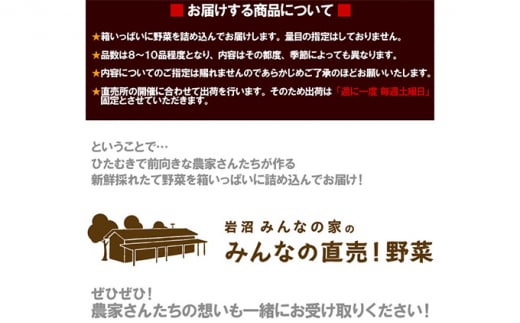 【定期便全12回】連続12ヶ月お届け！岩沼みんなの家の「みんなの直売！野菜」セット詰め合わせ [№5704-0642]