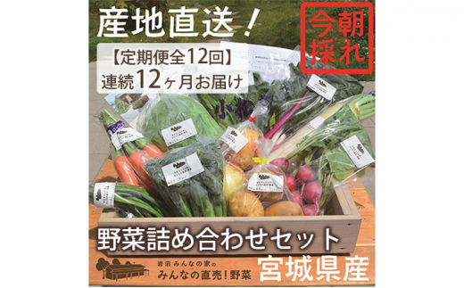 【定期便全12回】連続12ヶ月お届け！岩沼みんなの家の「みんなの直売！野菜」セット詰め合わせ [№5704-0642]