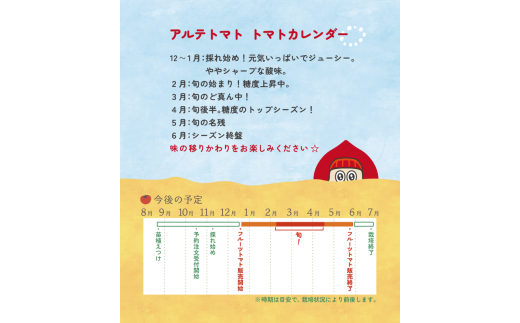 【1月～5月頃まで発送】＜アルテminiの宝石箱 約1kg×1箱＞フルーツトマト 栽培期間中化学農薬・化学肥料不使用   トマトハウスナカムラ 