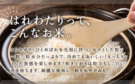 青森県産はれわたり 3袋セット 計15kg（5kg×3袋）【ご飯 ごはん 米 こめ お米 弁当 白米 国産米 銘柄米 県産米 ブランド米 おにぎり 国産 青森県 七戸町】【02402-0252】