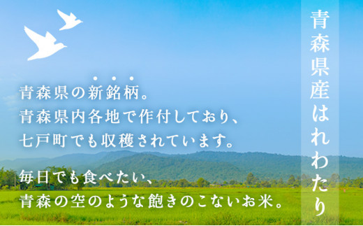 青森県産はれわたり 3袋セット 計15kg（5kg×3袋）【ご飯 ごはん 米 こめ お米 弁当 白米 国産米 銘柄米 県産米 ブランド米 おにぎり 国産 青森県 七戸町】【02402-0252】